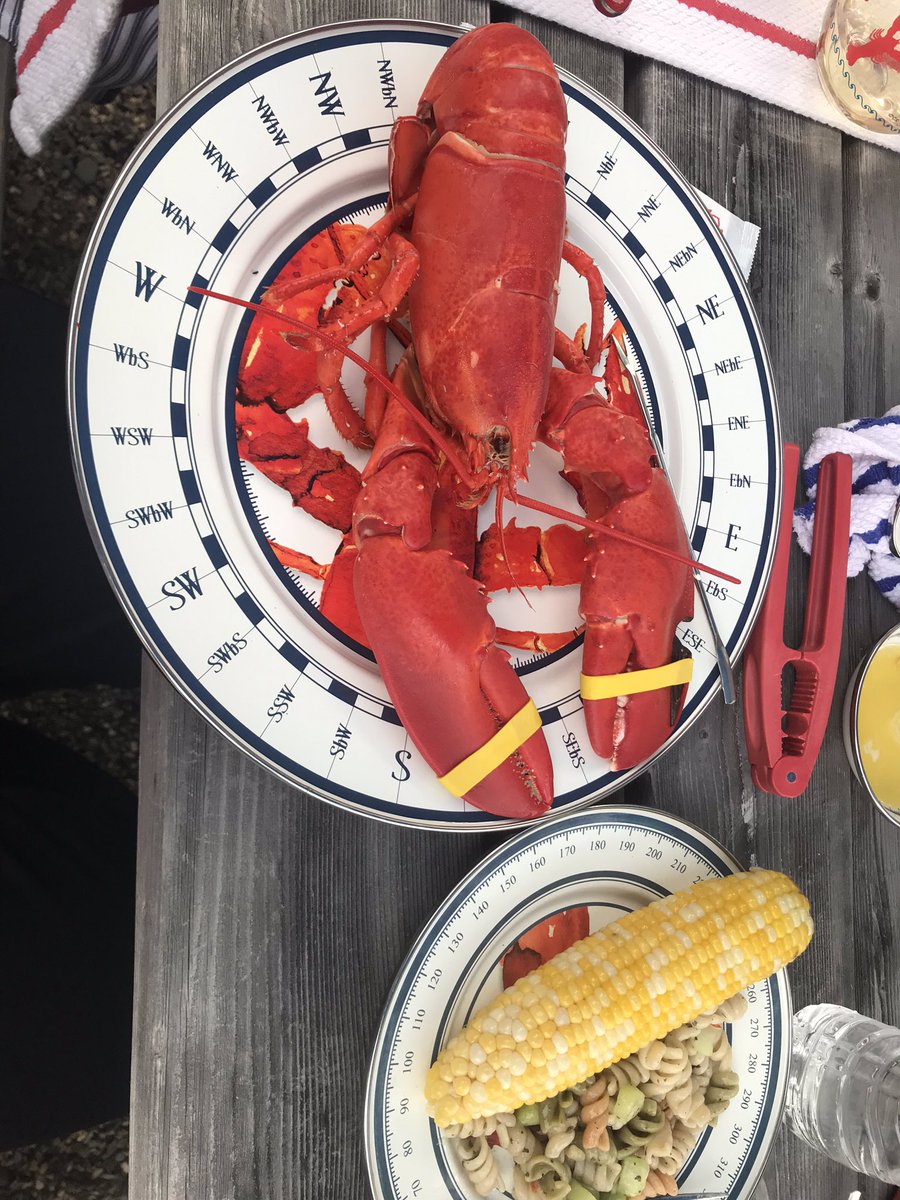 MsSrubar5thMath's tweet photo. A round of a”claws” for our tasty animal friend 🦞 #USEsummer #StallionsDeserveIt https://t.co/QKQCGrd5LQ