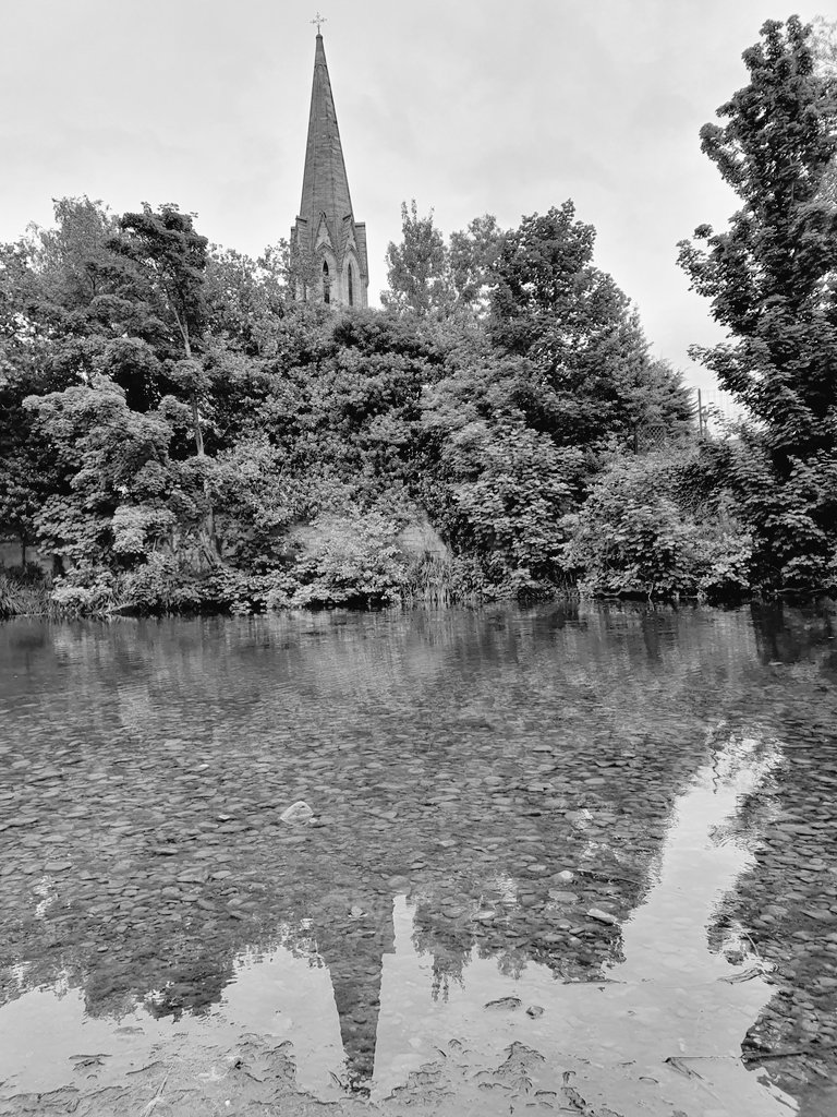 Natalie Bryce tweet media