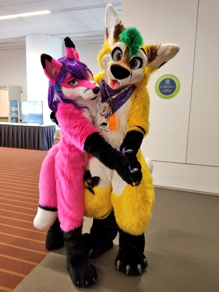 DolbyVixen's tweet photo. If I hadn't met this @ThePineappleFox at #AC2018, I certainly wouldn't have met so many other cool people and started getting over social anxiety. Happy #4thjuly
✂️= @SSC_Costumes and @morefurless
#furry #furryfandom #fursuit #fursuiter #fursuitanyday #fursuiting #pineapplegang https://t.co/KShFv8hp1h