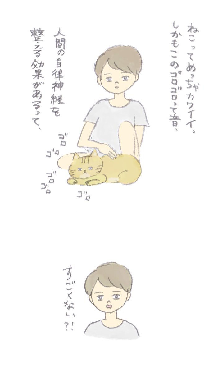 猫についてのお気持ち 