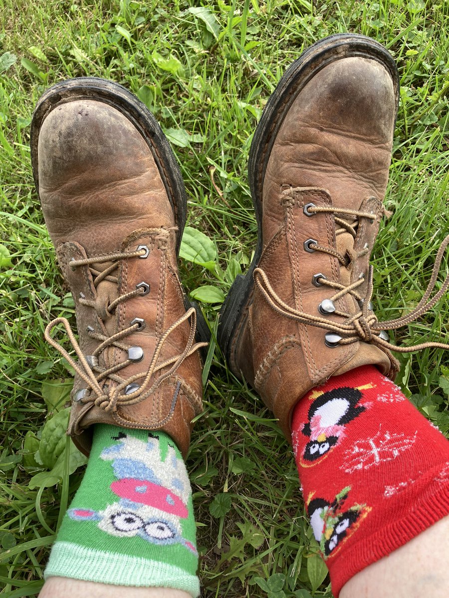 Yellow Belly tweet media