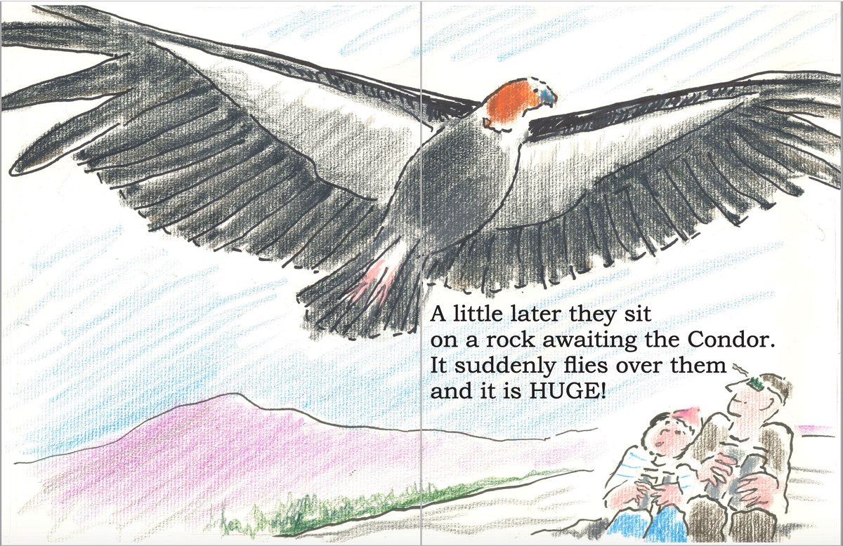 HoutsHome's tweet photo. Hope Sees Her Condor by Lester Feldman
#birding #birds #birdwatcher 
"Q: What is better than a picture book with gorgeous illustrations?
"A: A picture book with gorgeous illustrations PLUS a delightful story." ~ Betty Farber 
See: https://t.co/LcwUWQOHmh https://t.co/JknaeQiAL2