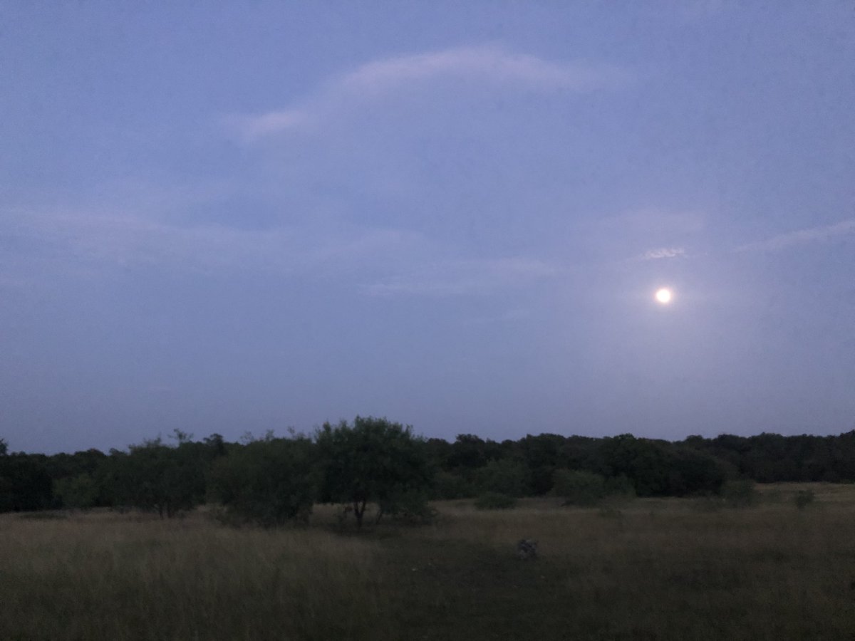 MisterMadamAdam's tweet photo. Last night we looked at the beautiful (almost) full moon from central Texas and took a moment to reflect on #FreedomForWho https://t.co/Y8okVP7SeQ
