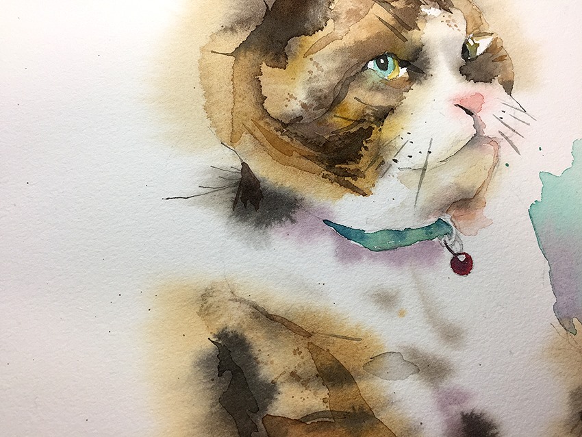 「飼い猫の葬儀から帰ってすぐに描いた絵。その後彼を何枚も描いていますが、これを超え」|わへい水彩画@京都水彩画塾塾長のイラスト