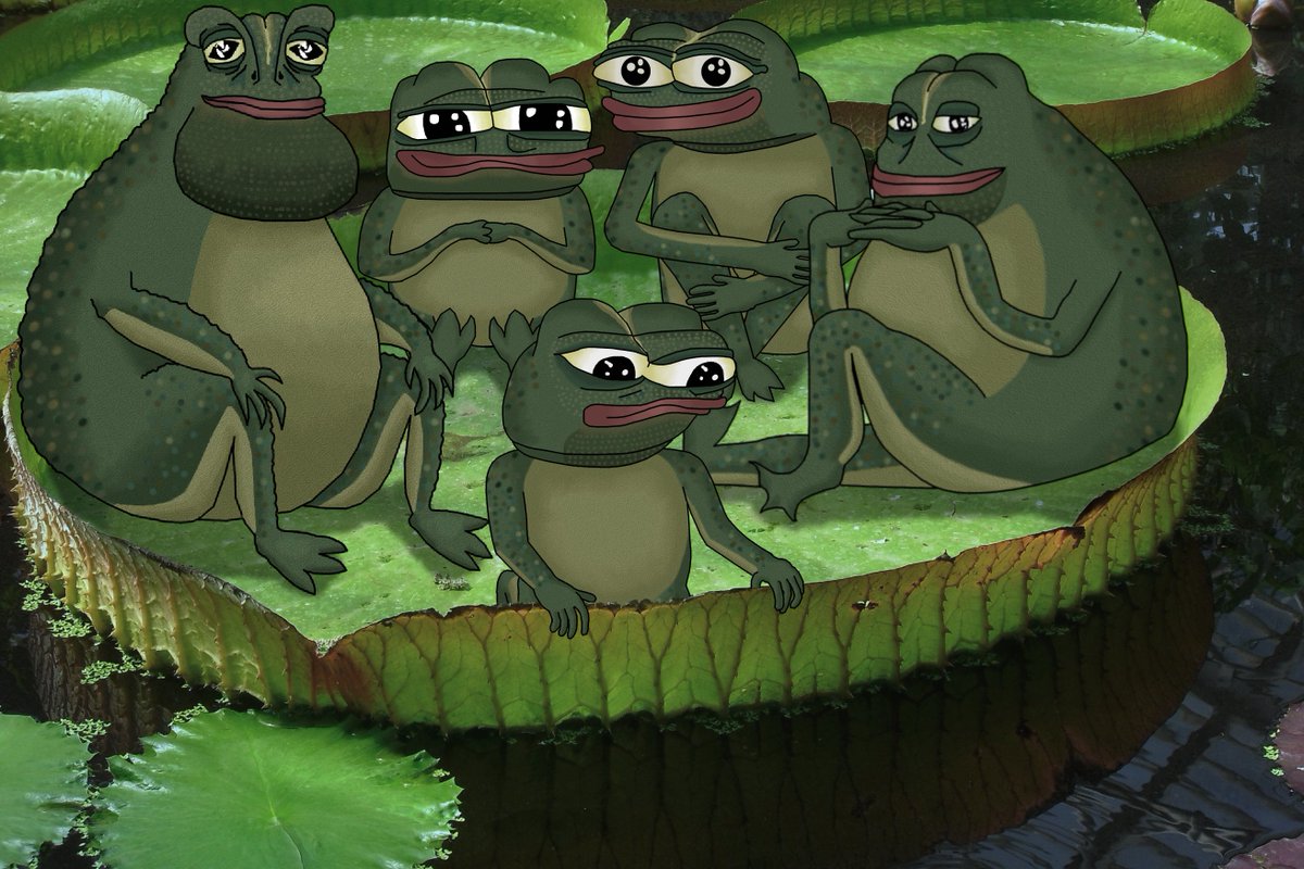 Froggies. Фрогги трехголовая лягушка. ,, Ащппшуы,. Froggies картинки