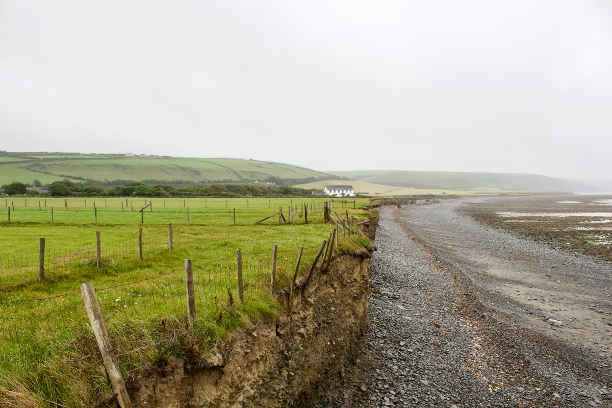 But there's a primeval history here. At Llanon's seaward edge, the slangs are being consumed by erosion, creating a precarious cliff. And from the beach, water-rounded pebbles are visible in the soil, betraying Morfa Esgob's origins - a time when great glaciers covered Wales.