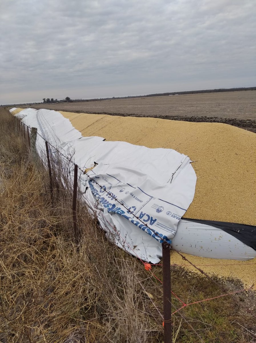 giane_bonzi's tweet photo. ignorancia: si señores, IGNORANCIA del ser pensante que hizo esto! Gente que se lavanta temprano con frío, lluvias y calor; que vuelve a su casa tarde y que apuesta su cosecha a la suerte, si a la suerte del clima, del gobierno (porque de acá te restan ganancias, planes sociales+ https://t.co/hGf3Ndnnrc