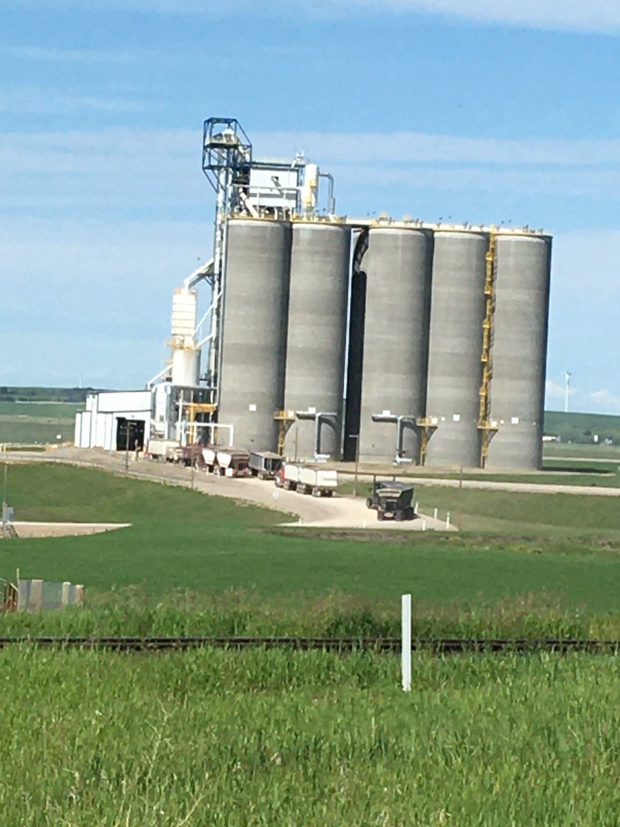 Yesterday was a record day for deliveries at GrainsConnect Huxley. Thanks to our awesome customers and staff for making hay while the sun was shining!!