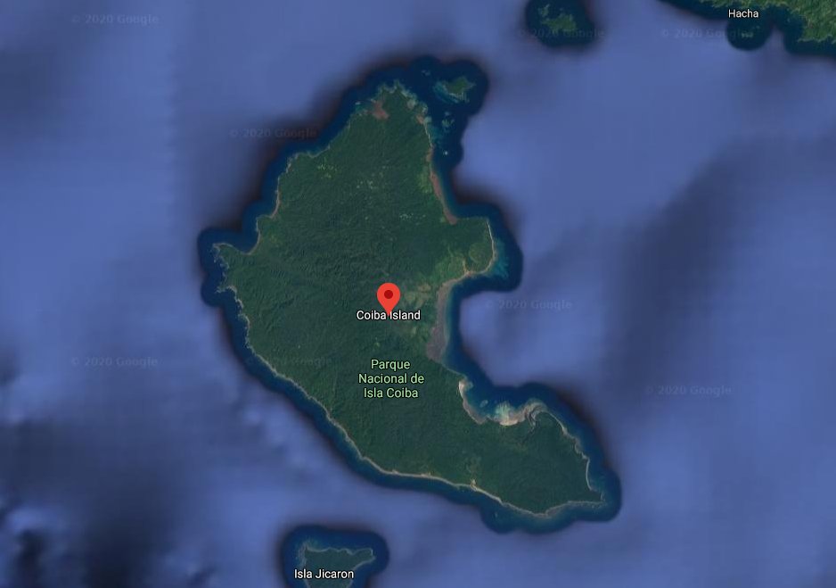 Bermuda_Studios's tweet photo. Today we're showing off Basura Bay! The island that Hercle can explore, adventure and stretch his many legs. Our designer researched real islands and picked Coiba Island to be the central influence for the map! #Unreal #gamedev  #Transfuzer #indiegame 🦀 https://t.co/iyEreMfdcE