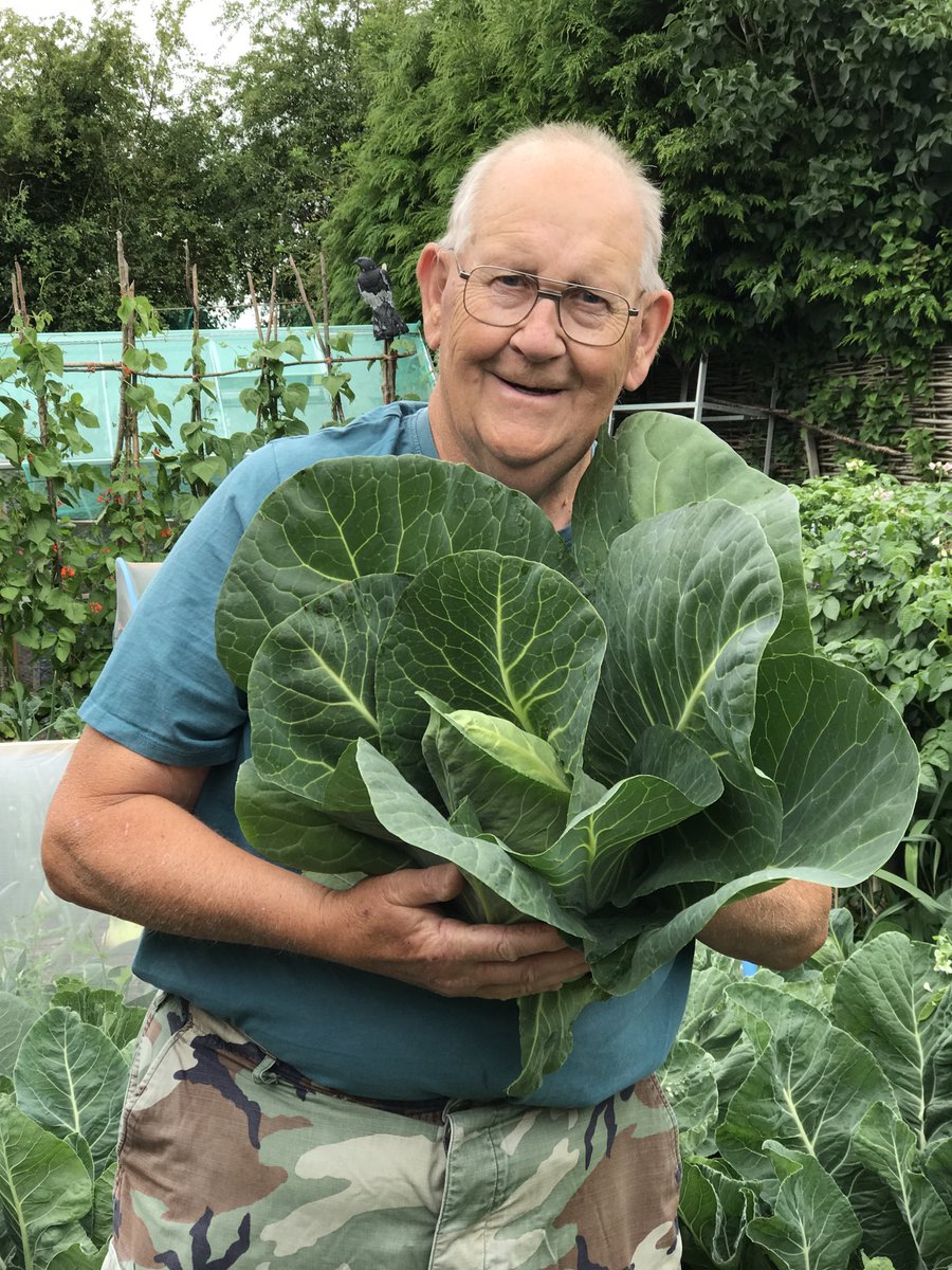 geraldstratfor3's tweet image. I do like a nice fresh cabbage Liz will cook it with new potatoes and a nice pie cheers