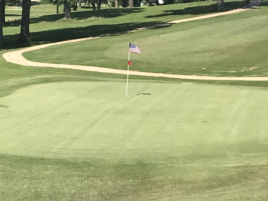 Paul Webb tweet media