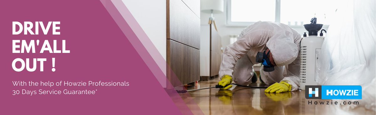hellohowzie's tweet photo. Let Howzie help, to keep your house pest-free. 

Pest Control subscriptions with Personal Howzie Assistance by a dedicated Relation Manager backed by Low Price Guarantee.

#PestContol #TermiteControl #CockroachControl #AntControl #BedBugs #Howzie 

https://t.co/mEprsekDXJ https://t.co/p2H3PasV8G