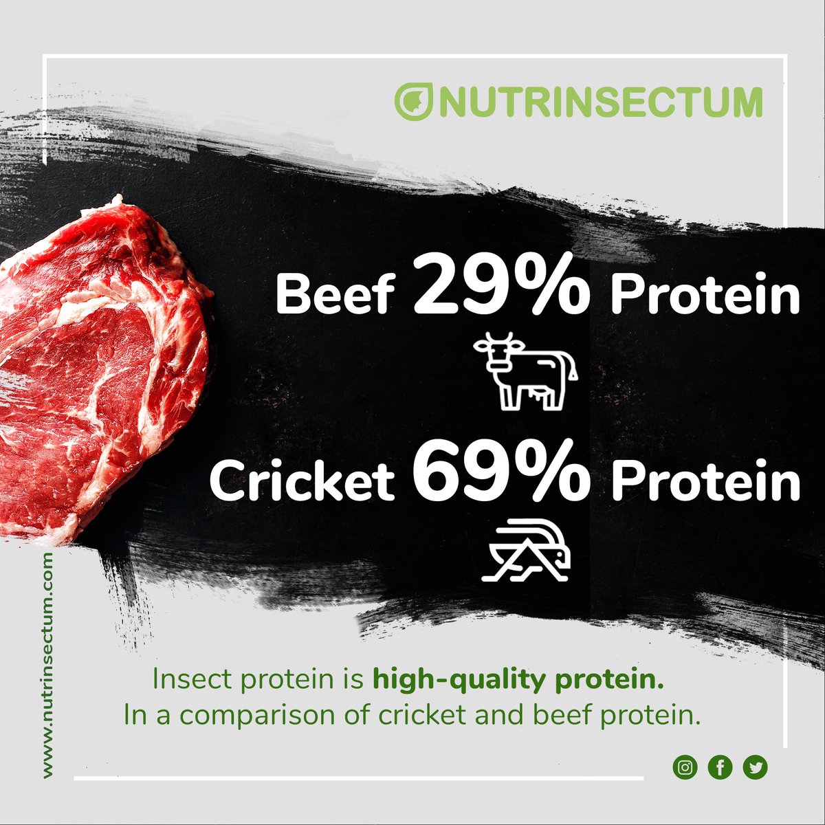 nutrinsectum tweet picture