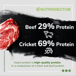Photo by Nutrinsectum (@nutrinsectum)