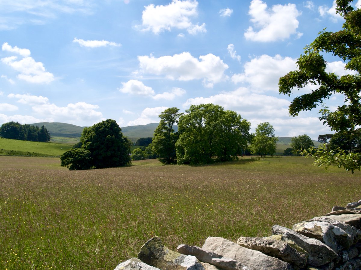 It's #NationalMeadowsDay so here's a picture of Cumbria's 'Coronation Meadow', Piper Hole, a traditionally managed hay meadow with a huge diversity of wild flowers. It's just outside Ravenstonedale, nr #KirkbyStephen. 
<a href="/BlackSwanEden/">Blackswanhotel</a> <a href="/oldcrofthouse/">old croft house</a> <a href="/AnnSandell/">KSWaW</a> <a href="/VisitUpperEden/">Kirkby Stephen & Upper Eden Visitor Centre</a>