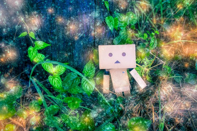 ダンボー写真のtwitterイラスト検索結果