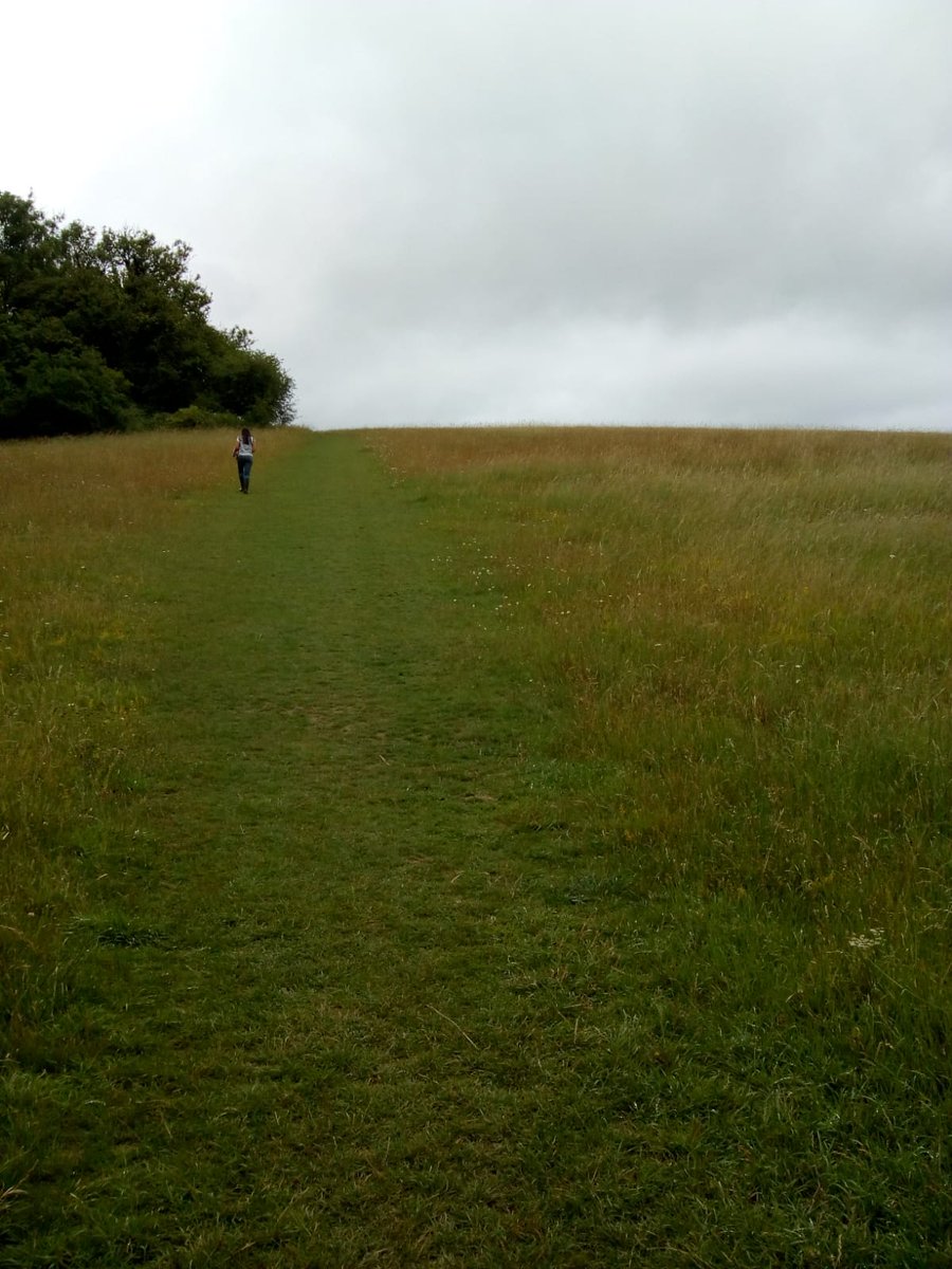 RoadFarmRamblin's tweet photo. We've put some info up in the Pretty Field to encourage people to see different flowers. Insects everywhere, even 6 Swift's on #brunchbreak! #NationalMeadowsDay @ChilternsAONB @ChilternsCCC @Love_plants @UpperThamesBC https://t.co/T8XBrYY4XB