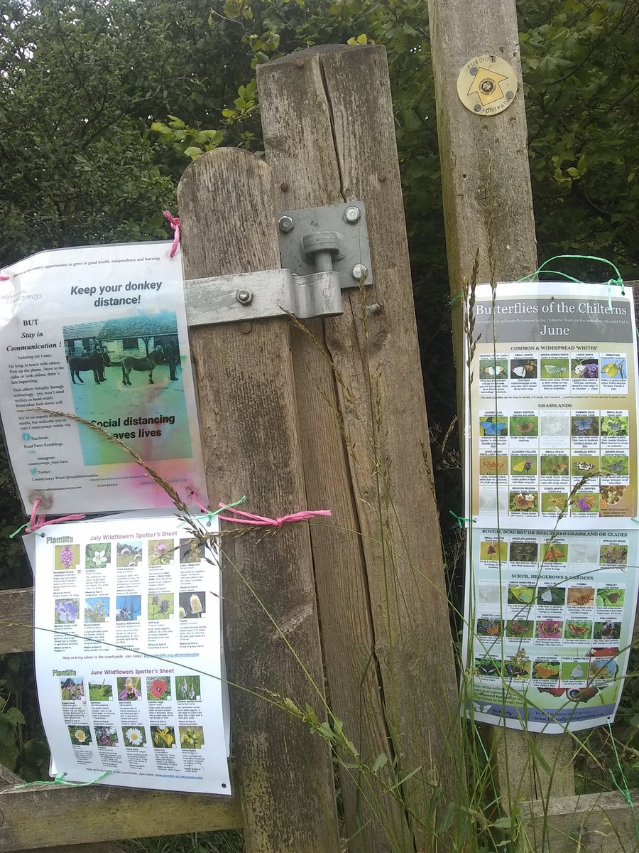 RoadFarmRamblin's tweet photo. We've put some info up in the Pretty Field to encourage people to see different flowers. Insects everywhere, even 6 Swift's on #brunchbreak! #NationalMeadowsDay @ChilternsAONB @ChilternsCCC @Love_plants @UpperThamesBC https://t.co/T8XBrYY4XB