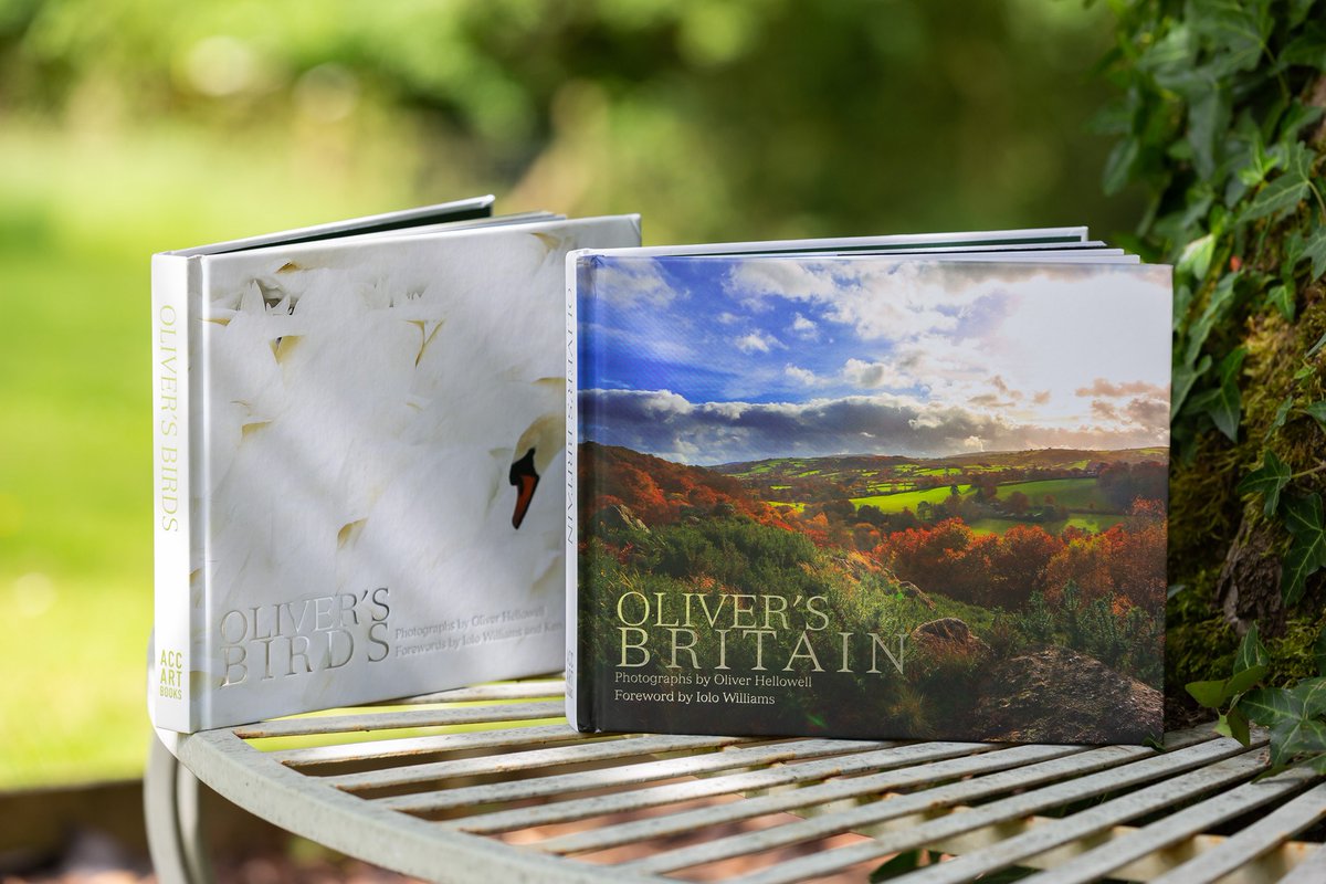 TOMORROW is my BIRTHDAY! I'm very excited I will be 24! DON'T FORGET my new book 'Oliver's Britain' is coming out August 10th: order here: oliverhellowell.com/salesarea/oliv… <a href="/ACCArtBooks/">ACC Art Books</a> <a href="/DSAInfo/">Down's Syndrome Association</a> <a href="/UpsandDownsSW/">Ups & Downs Southwest</a> <a href="/DSiupdate/">Down Syndrome International (DSi)</a> @DownsHeartGroup <a href="/Future_Of_Down/">Future Of Down's</a> <a href="/WendyUpsnDowns/">Wendy O'Carroll</a>