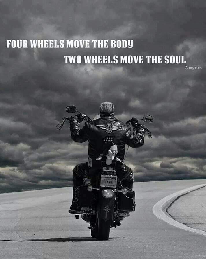 Lliure_RideFree's tweet image. 