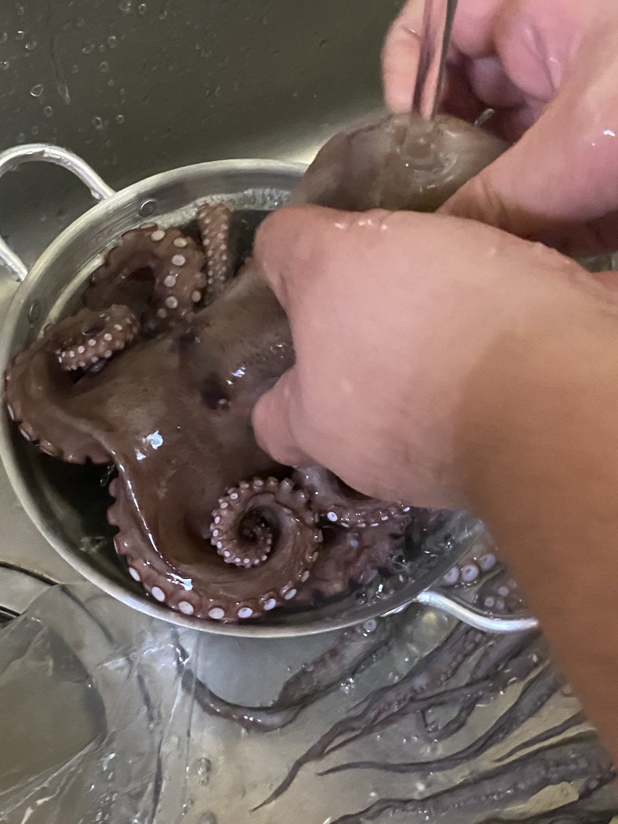 はじめてのタコ釣り爆釣実況からの捌き実況が見応えたっぷり ぬめり取りのマル秘テクが炸裂 Togetter はじめてのタコ釣り爆釣実況からの捌き実況が見応えたっぷり ぬめり取りのマル秘テクが炸裂 Togetter