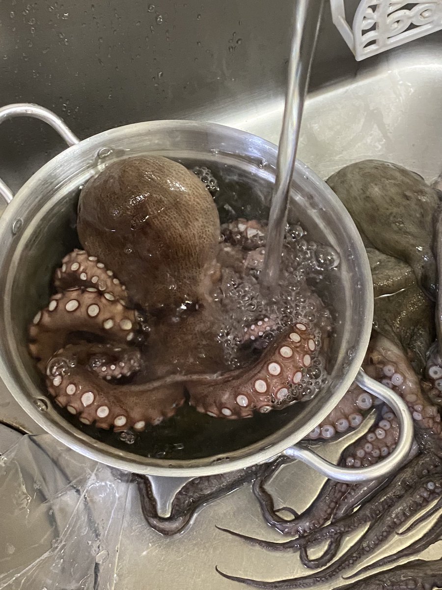 はじめてのタコ釣り爆釣実況からの捌き実況が見応えたっぷり ぬめり取りのマル秘テクが炸裂 Togetter はじめてのタコ釣り爆釣実況からの捌き実況が見応えたっぷり ぬめり取りのマル秘テクが炸裂 Togetter