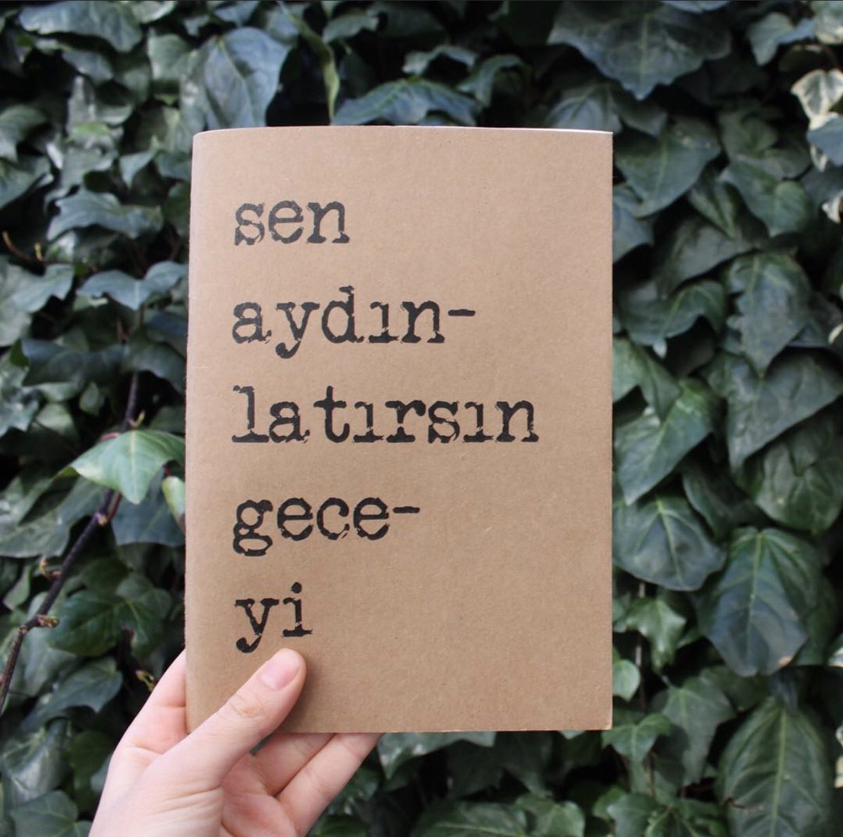 Sen Aydınlatırsın Geceyi,Onur Ünlü’nün senaryosunu yazdığı ve yönettiği 2013’te vizyona giren,kendine özgü kurgusu ve siyah beyaz görüntüleriyle dikkat çeken ilginç bir kara sinema örneğidir.

Çok sevilen defterimiz 10₺ sipariş için dm den iletişime geçebilirsiniz🍃