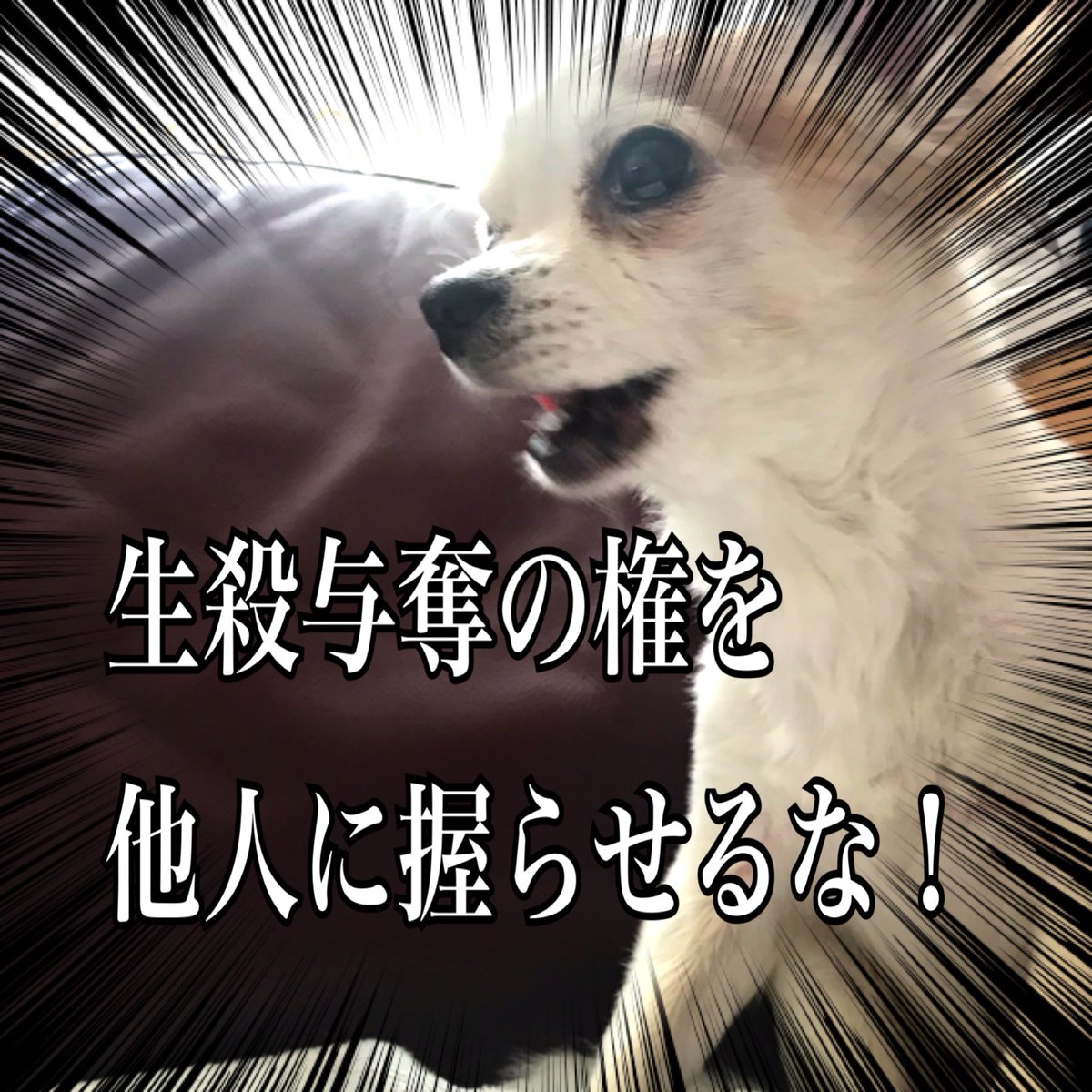 99人の壁で 鬼滅 が話題に トレンドアットtv