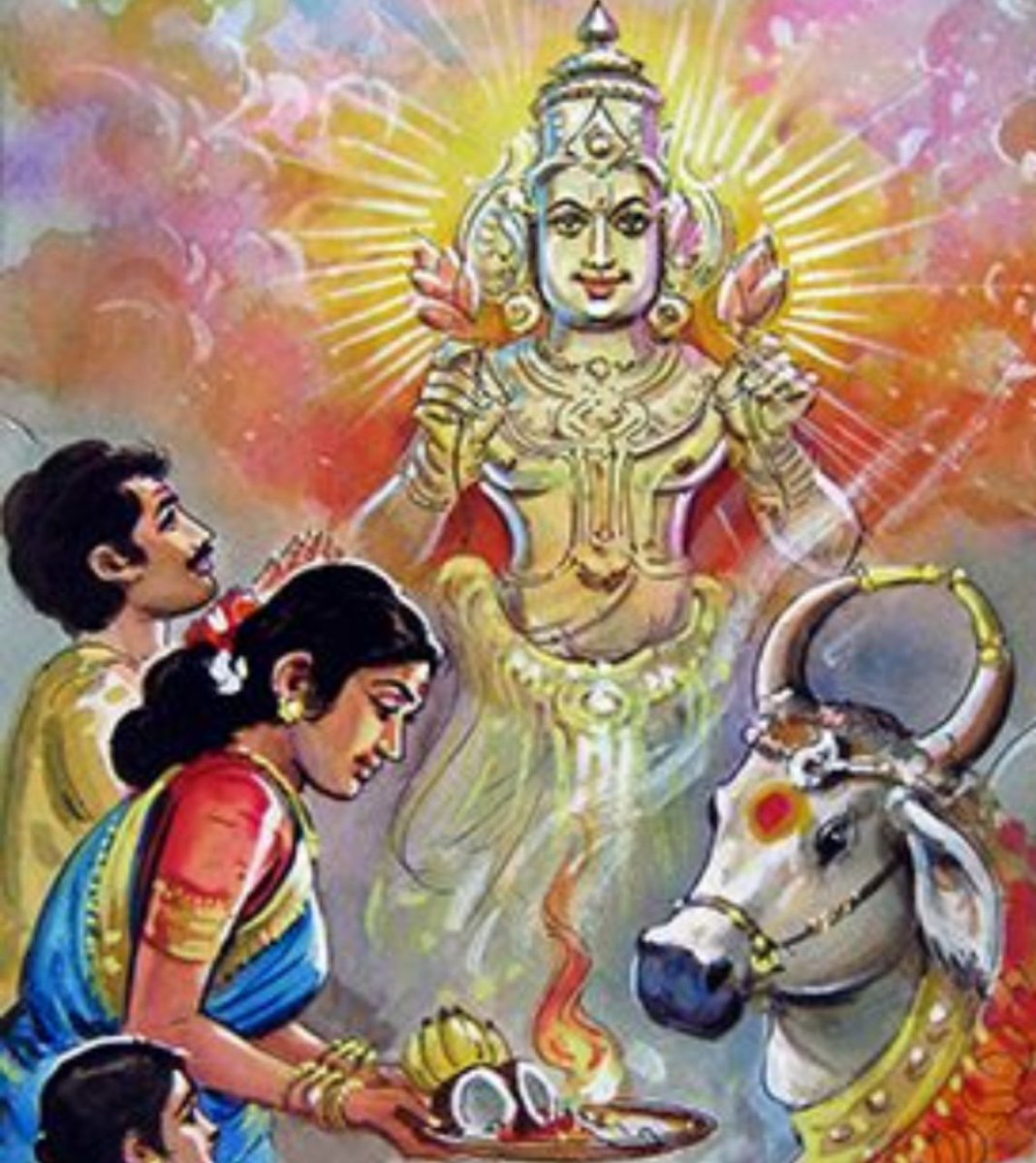 In our culture, we don't consider cow simply as an animal.Vedas, Puranas and various Vedic scriptures glorify the Cow and explain the importance of serving the cow.In Sanatan cow is worshipped, every year on the day of Dhanteras.