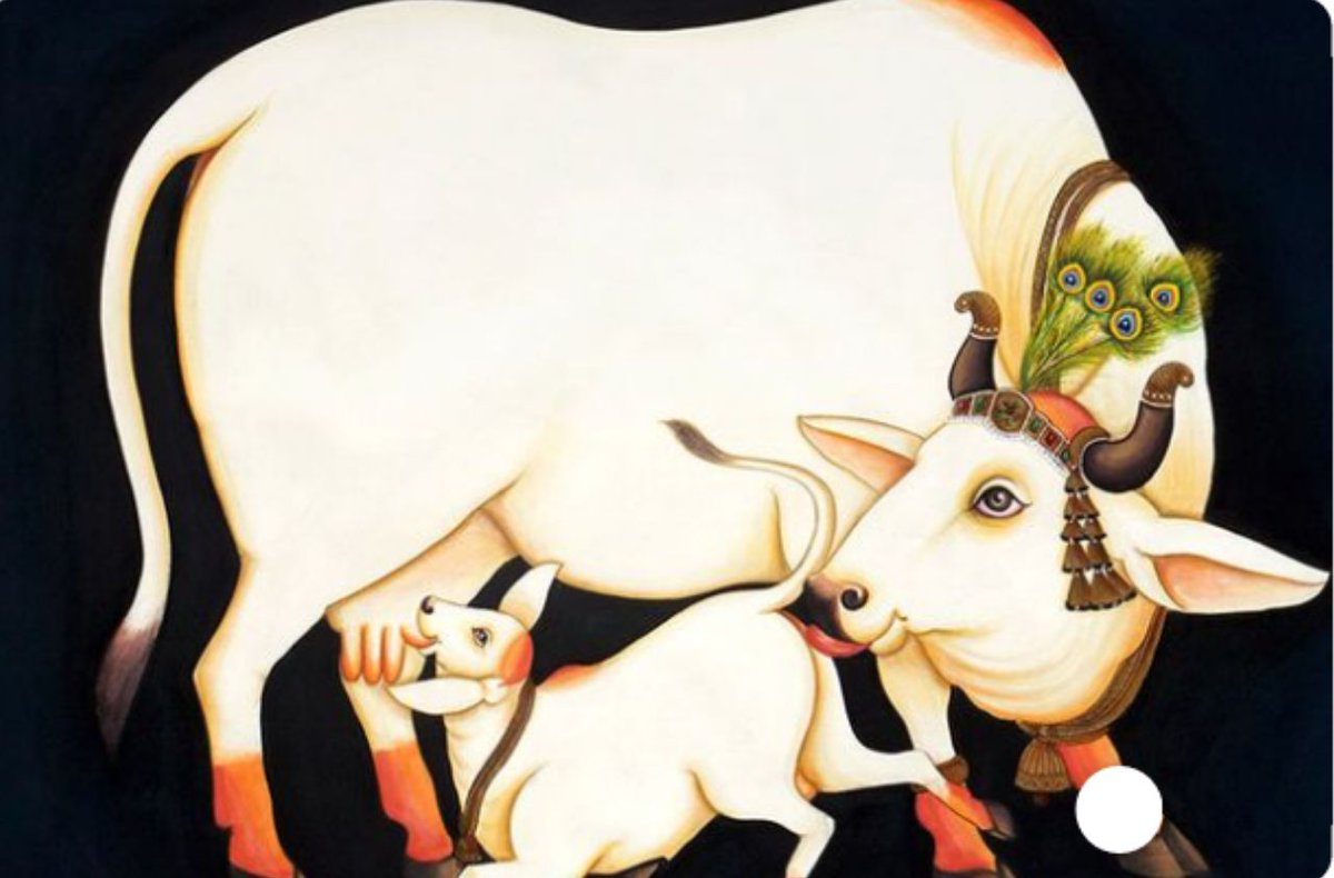 As per the Vēdās, a cow is considered as a Universal symbol, here are a few references from Vedic Scriptures.As per the Atharvavēda, 33 koti Deities reside inside the cow. While describing the Divine form of a cow, Bhagawan Shrīkrushṇa has said,‘धनूनामस्मि कामधुक’
