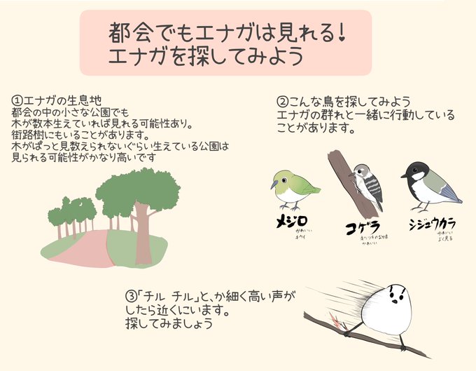 エナガのtwitterイラスト検索結果 古い順