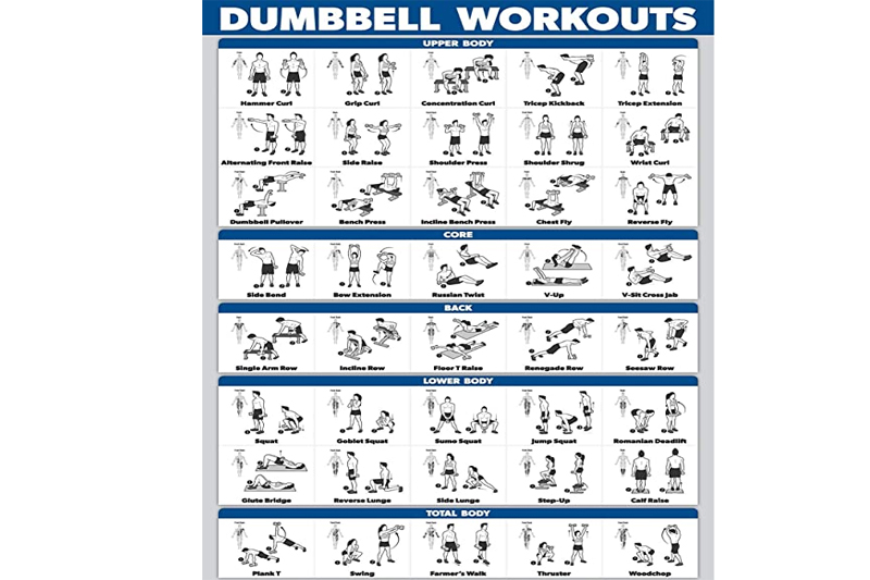 WordpressFaysal's tweet photo. In this article, we introduce you to one of the #best #Full_Body #Dumbbell #workouts  you’ll find online.
https://t.co/wGir7VMNRW 

#womensfitness, #womensworkout, #femalefitness, #fitwomen, #ladiesgym, #crossfitwomen, #womenonlygym, #gymforwomen, #ladiesfitness, https://t.co/4WNmoeF9Tt