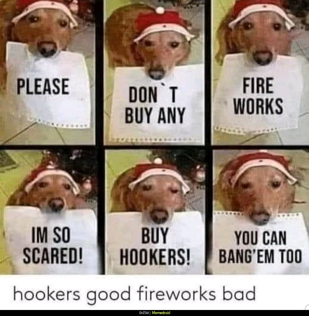 Pinto_Pony87's tweet photo. For those celebrating in the US today. #thinkofthedogs https://t.co/QHt4ixtQJl