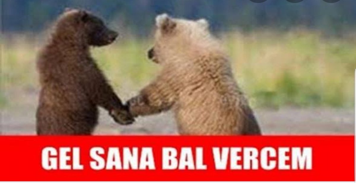 EceBoncuk3's tweet photo. #anadoluueniyazokuluac 
Anadolu aöf sende bizi böle kandırdın
@Anadolu_Univ @ProfFuatErdal https://t.co/1KJxP22xZn