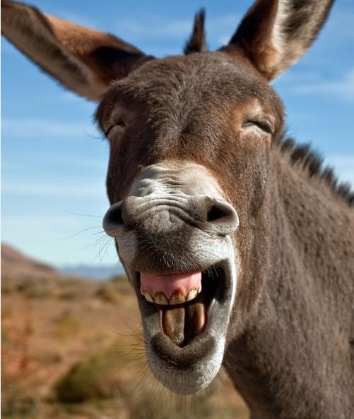 울고 싶다....ㅠㅠ