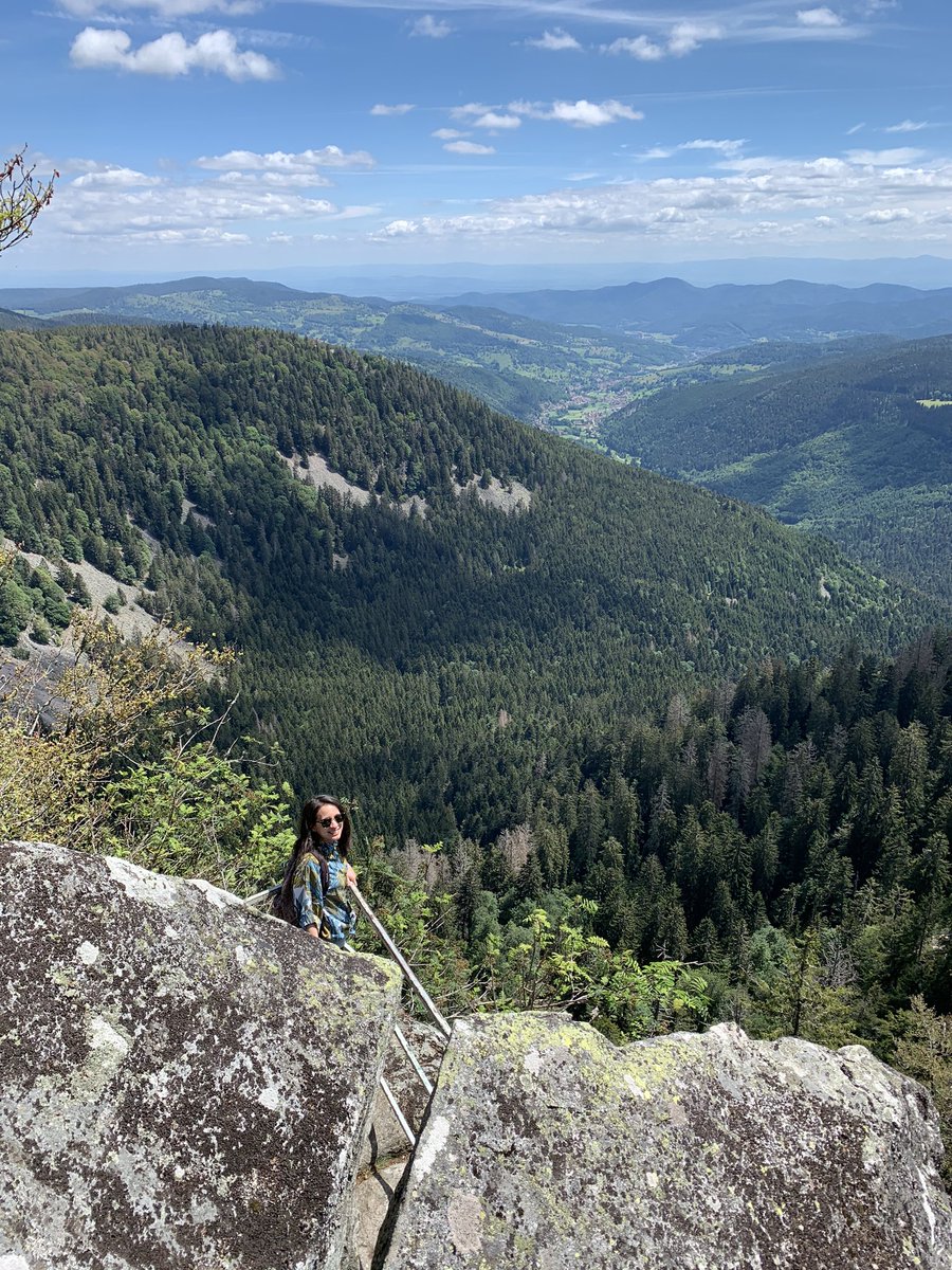 germainlb's tweet photo. Les Vosges ⛰ #Vosges #Randonnee https://t.co/mdRCmdi5tN