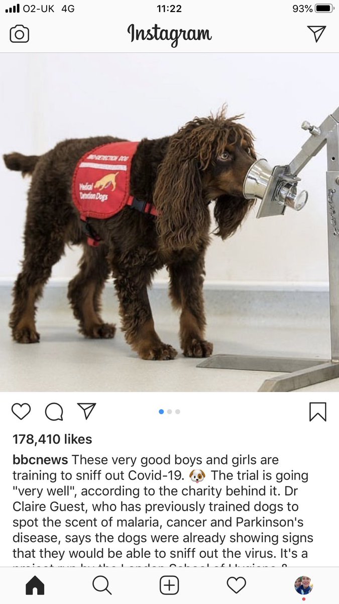 Clever doggies 🐾🐾