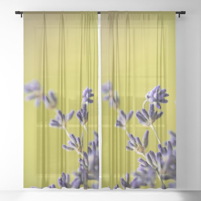 The 4th of July Sale is on. Enjoy 40% off this item today! society6.com/product/purple…

#homedecor #homedecorideas #sheercurtains #curtains #summerpatterns #society6 #bedroomdecor #livingroomdecor #blackoutcurtain #sheercurtain #windowcurtain #giftideaas #sale #floral #lavender