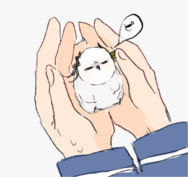 手乗りサイズのえぎちゃ 