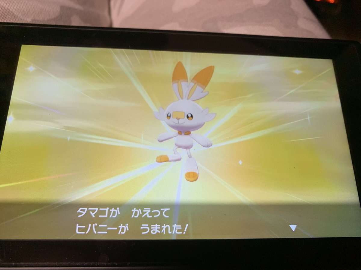 Aki ポケgo 当分休止 ソードシールドで 色違い夢特性5vヒバニーが孵化してもうた 笑 ポケモン剣盾 色違い ヒバニー 夢特性