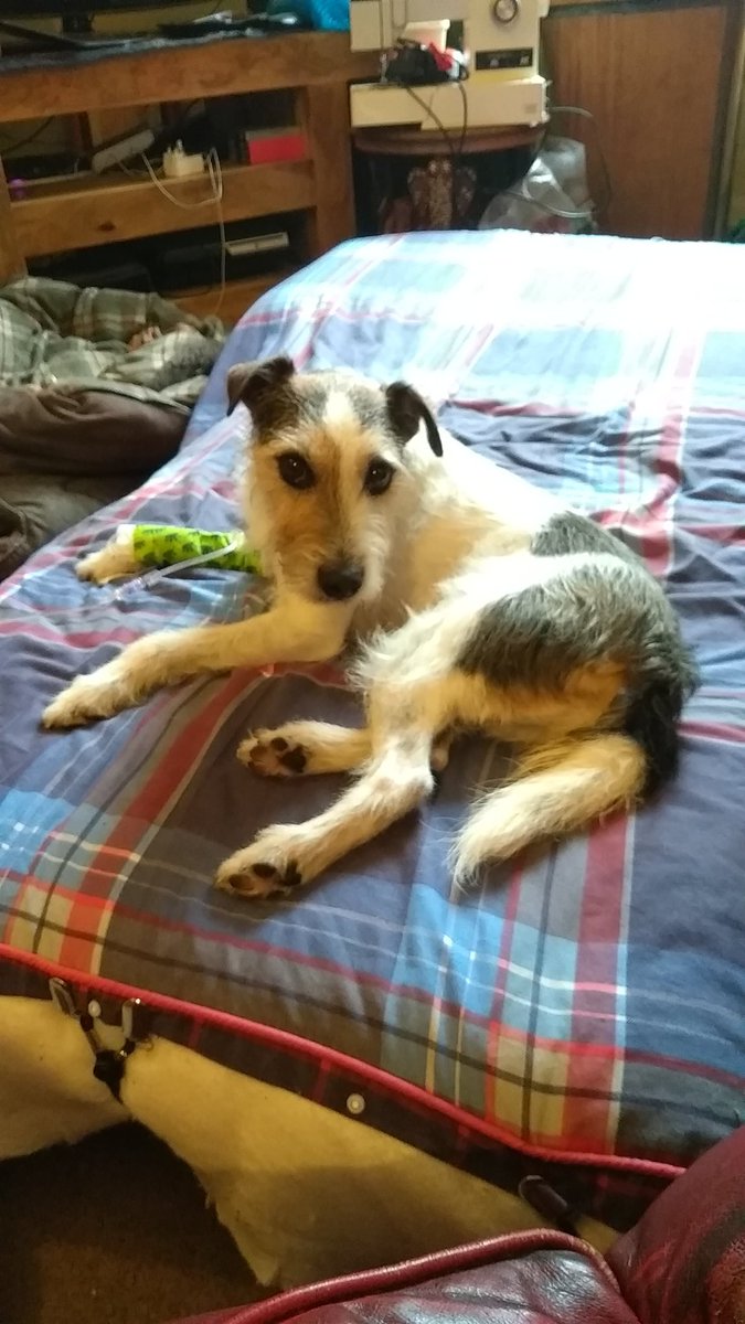 Is anyone interested I knowing what the pancreas does? Or shall I keep it to myself?It's my second favourite organ