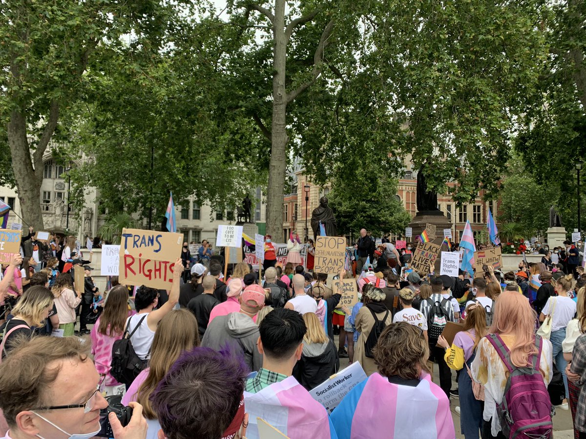 c_e_lord's tweet photo. Great to be at the #TransRightsAreHumanRights protest in #parliamentsquare London hearing amazing speakers calling for safety, healthcare, and recognition for #trans folk. #transprotest #GRAreformNOW #TransWomenAreWomen #TransMenAreMen #NonBinaryPeopleAreValid https://t.co/Cn3kCc9X7R