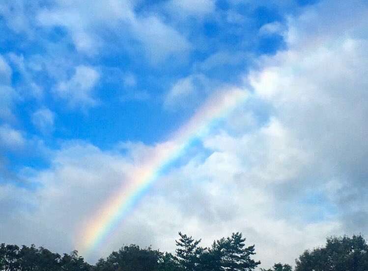 chi_tgy's tweet photo. 今日 虹がかかってたよ https://t.co/3ToeDCUN4F
