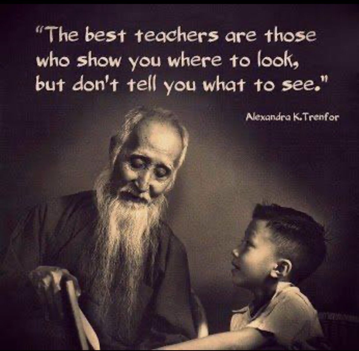 parrish1david's tweet image. The best teachers are those who show you where to look but....