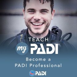 BecomeADiveINST's tweet photo. Be a leader and Become A Dive Instructor And a @PADI Pro and inspire the next generation of divers! https://t.co/R59jMNe793 #dive #diver #scubadiving #scuba #instructor #PADIPRO #teach #PADIinstructor #becomeadiveinstructor #travel #diveinstructor #inspire #newdivers @PADI_Travel https://t.co/SwLWuADM13