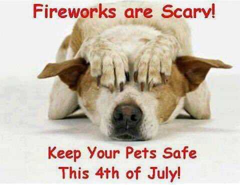 deborah_saffer's tweet photo. Please be Aware of Your Neighbors and Pets. This Is Not Fun for them βΌοΈβΌοΈβΌοΈ Check on them. Bring them a Treat. Itβs ALL OUR FREEDOMS β€οΈπΊπΈπ #4thofJuly #KindnessMatters #Mindful #Peace #ShowLove #TooMuchAnxiety #UseCompassion https://t.co/D2Ku2ZnQPZ