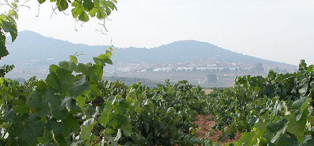 ¿Sabes que el 70% del terreno de Sinarcas es terreno forestal? 

¡Conecta con la tradición vitivinícola y con la naturaleza en Sinarcas!

bit.ly/2Tq7U8h