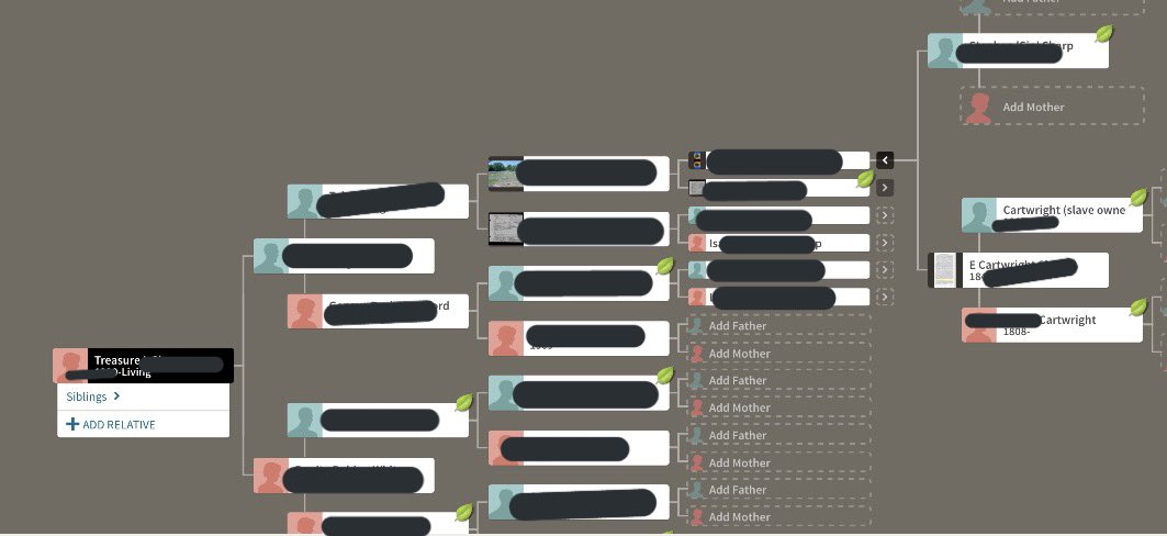 Here's my tree. This is a screen shot I took the first time I traveled all the way thru to my dad's mom's line. Peep the the generation all the way to the right. I blew it up in picture 2. The literally put SLAVE OWNER in parenthesis.