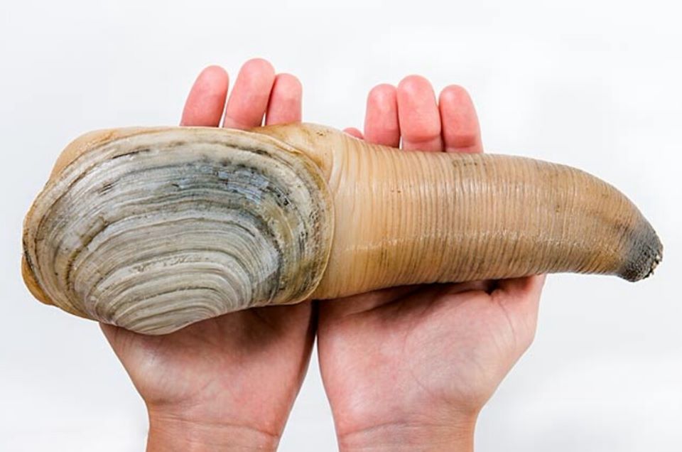 simonsoenaing's tweet image. 