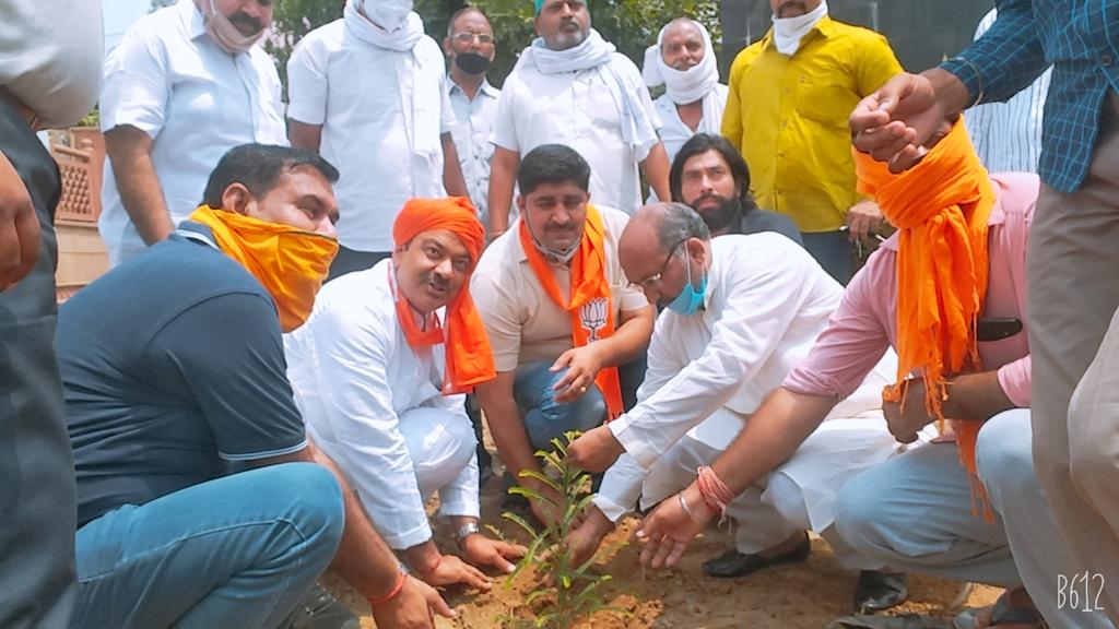 वृक्ष धरा के भूषण दूर करे प्रदूषण:
आज बड़े भाई साहब देवेंद्र सोलंकी जी के साथ गुलावठी व गुलावठी ग्रामीण मंडल के विभिन्न स्थानों पर पौधारोपण किया।

#1YearofModi2
#bjp4india #bjp4up   
#काम_दमदार_योगी_सरकार
#IndiaFightsCorona
#Bulandshahr